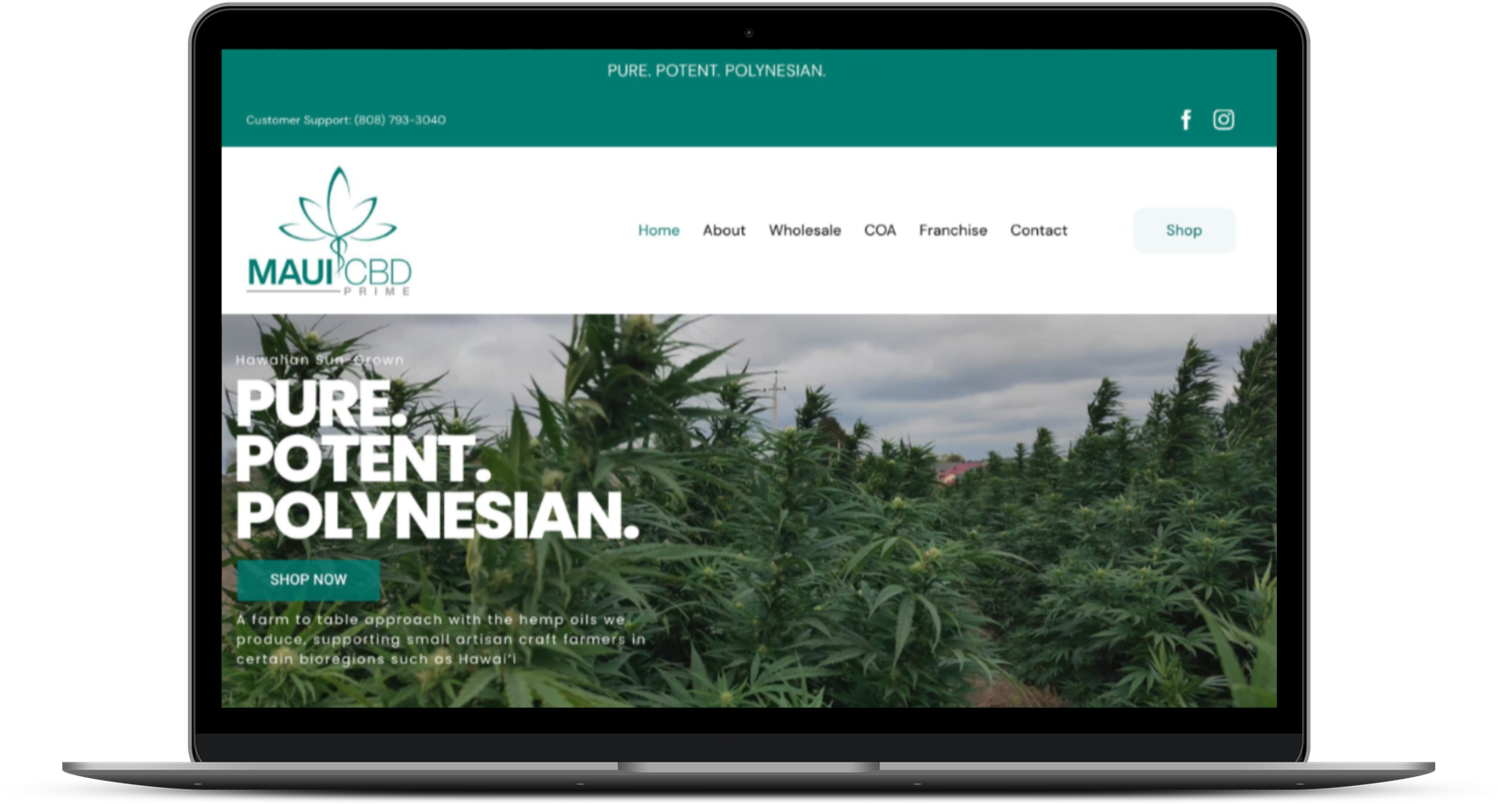 Maui CBD Prime – Web Design – The Hawaii Agency